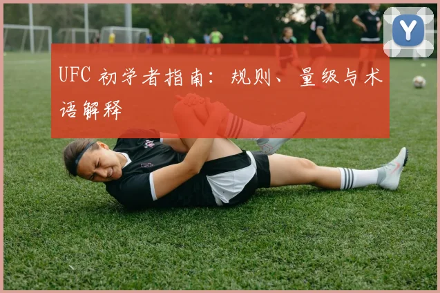 UFC 初学者指南：规则、量级与术语解释